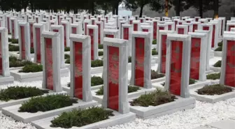 Bir Asırlık Bağ