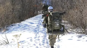 Grafikli - Yılın Son Ayında da PKK'ya Ağır Darbe