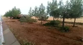 Otomobil Devrildi: 1 Ölü, 4 Yaralı