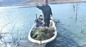 Yamula'daki Öldüren Misinalara Araştırma