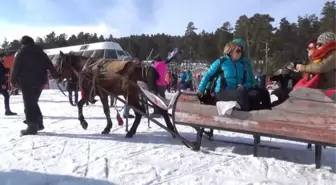 Sarıkamış'ta Atlı Kızakla Kayak Keyfi