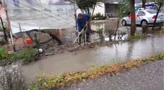 Muğla Ortaca'da Narenciye Bahçeleri ve Seralar Suyla Doldu