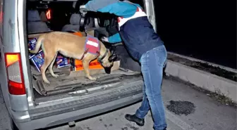 Sungurlu'da Jandarma Ekipleri Suçlulara Göz Açtırmıyor