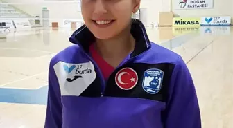 Voleybolda Transfer