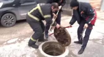 Gümrük Binasındaki Yoğun Koku Afad ve İtfaiye Ekiplerini Alarma Geçirdi