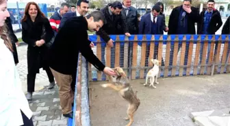 MHP İl Başkanlığı Hayvan Bakım Merkezini İnceledi