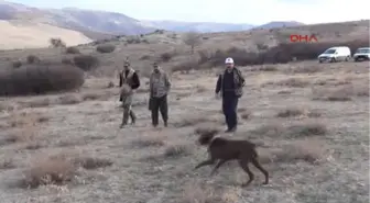 Yozgat'ta Avcılar Umduğunu Bulamadı