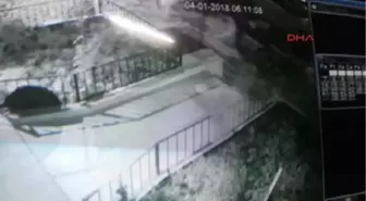 Denizli Çöp Kovası Hırsızlığı Kamerada