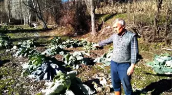 Vatandaşlardan Deski'ye 'Kötü Koku' Tepkisi