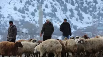 Akşarlılar Kapalı Hayvan Pazarı İstedi