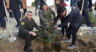 Fidanlar Okul Bahçesinde Hayat Buldu