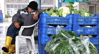 Sebzede Karnabahar Depremi