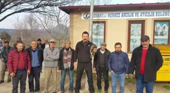 Yaralı Şahine Osmaneli Merkez Avcılar Kulübü Üyeleri Sahip Çıktı