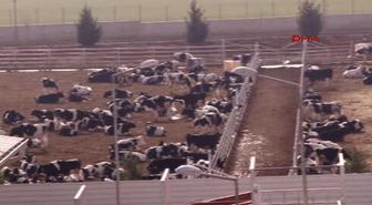 Gaziantep Bakan Fakıbaba Tarımsal Kuraklık Endişesi Yok