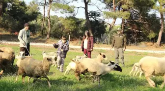 Babanın Mesleği Otizmli Çocuğa Terapi Oldu