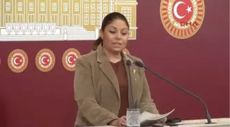 CHP'li Zeynep Altıok Açıklama Yaptı