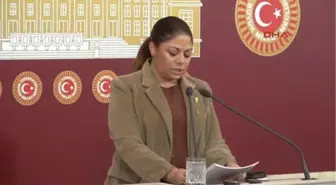 CHP'li Zeynep Altıok Açıklama Yaptı