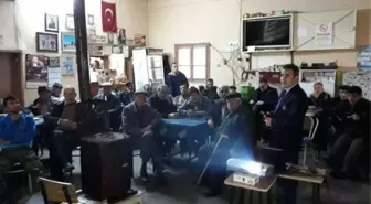 Söke Belediyesi'nin Hayvancılığa Destek Projesi Devam Ediyor