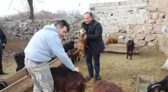 Müdür Yolcu, Çiftçileri Ziyaret Etti