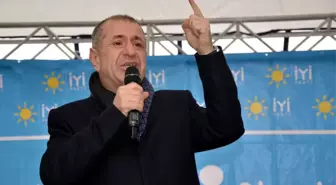 Zeytin Dalı Harekatı