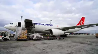 Turkish Cargo Çin'e Penguen ve Aslan Taşıdı