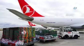 Turkish Cargo Çin'e Penguen ve Aslan Taşıdı