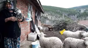 Başkan Rasim Daşhan: Üreticimizin Derdi Bizim Derdimizdir