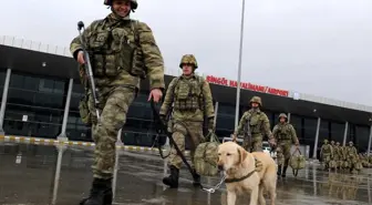 Mayın Arama Köpeği 'Ayevi' Afrin'de Mehmetçik'in Gözü Olacak