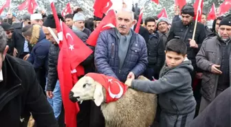 Mehmetçikler İçin Kurban Kesildi, Dua Edildi