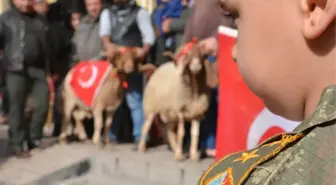 Adaklar 'Mehmetler' İçin Kesildi