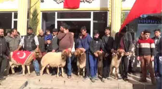 Adaklar 'Mehmetler' İçin Kesildi