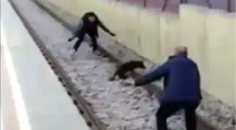 Metroda Köpek Kurtarma Operasyonu