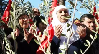 Afrin'deki Operasyona Şehit Ailelerinden Zeytin Dalı ile Destek