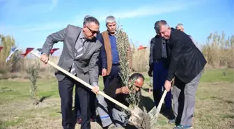 Antalya'da Şehitler İçin 72 Zeytin Fidanı Dikildi