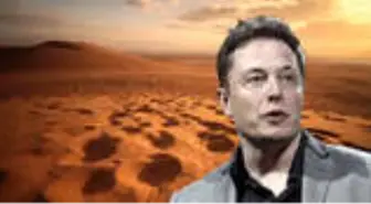 Elon Musk, Çölde Lityum Arayacak