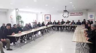 Malatyalı Stk'lardan 'Zeytin Dalı Harekatı'na Destek