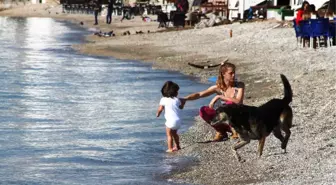 Bodrum Ocak Ayında Yazı Yaşıyor