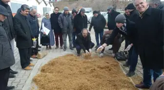 Meraklısına İstiridye Mantarı Eğitimi