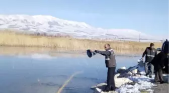 2 Şubat Dünya Sulak Alanlar Günü
