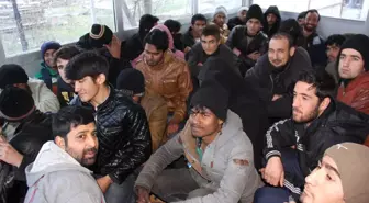 3 Günde 2'nci Kez Banker Bilo Vakası! Göçmenleri İstanbul Yerine Artvin'e Bıraktılar