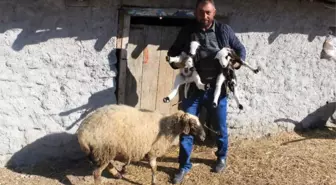 Böyle Vicdansızlık Görülmedi