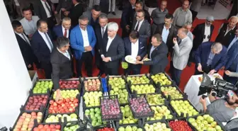 İnegöl Tarımı Mobilya ile Yarışıyor