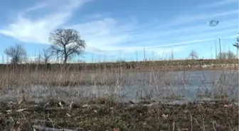 Kuraklık Hayvanları da Olumsuz Etkiliyor