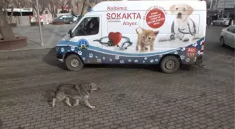 Malazgirt'te 'Kalbimiz Sokakta Atıyor' Projesi