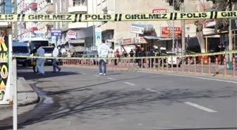 Yağışlar Gap Çiftçisine Nefes Aldırdı