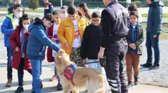 4 Şubat Dünya Kanser Günü