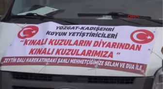 Yozgat-Yozgatlı Çobanlardan 'Zeytin Dalı Harekatı'na 41 Kınalı Kurban Hediye Edildi-hd