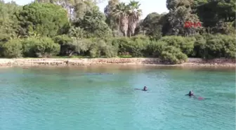 Bodrum Güvercinlik'te Deniz Dibi Temizliği