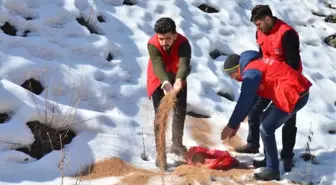 Gençlik Liderleri, Yaban Hayvanları İçin Doğaya Yem Bıraktı