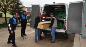 Bilecik'te Şüpheli Ölüm